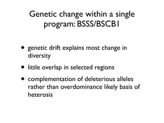 Genetic change within a single
program: BSSS/BSCB1
• genetic drift explains most change in
diversity
• little overlap in selected regions
• complementation of deleterious alleles
rather than overdominance likely basis of
heterosis
 
