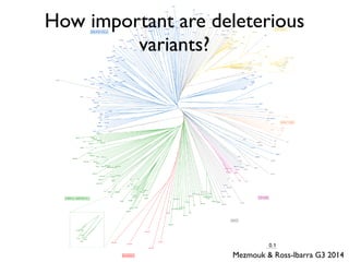 How important are deleterious
variants?
Mezmouk & Ross-Ibarra G3 2014
 