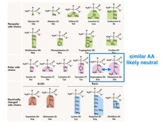 similar AA
likely neutral
 
