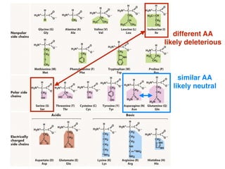 similar AA
likely neutral
different AA
likely deleterious
 