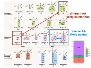 similar AA
likely neutral
different AA
likely deleterious
 