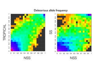 nss
ts
0 0.1 0.2 0.3 0.4 0.5 0.6 0.7 0.8 0.9 1
00.10.20.30.40.50.60.70.80.91
NSS
TROPICAL
nss
ts
0 0.1 0.2 0.3 0.4 0.5 0.6 0.7 0.8 0.9 1
00.10.20.30.40.50.60.70.80.91
ss
nss
00.10.20.30.40.50.60.70.80.91
0 0.1 0.2 0.3 0.4 0.5 0.6 0.7 0.8 0.9 1
SS
NSS
Deleterious allele frequency
 