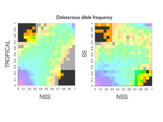 nss
ts
0 0.1 0.2 0.3 0.4 0.5 0.6 0.7 0.8 0.9 1
00.10.20.30.40.50.60.70.80.91
NSS
TROPICAL
nss
ts
0 0.1 0.2 0.3 0.4 0.5 0.6 0.7 0.8 0.9 1
00.10.20.30.40.50.60.70.80.91
ss
nss
00.10.20.30.40.50.60.70.80.91
0 0.1 0.2 0.3 0.4 0.5 0.6 0.7 0.8 0.9 1
SS
NSS
Deleterious allele frequency
 