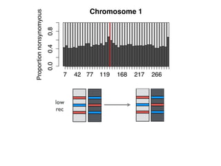 Chromosome 1
Proportionnonsynomyous
0.00.40.8
7 42 77 119 168 217 266
 