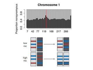 Chromosome 1
Proportionnonsynomyous
0.00.40.8
7 42 77 119 168 217 266
 
