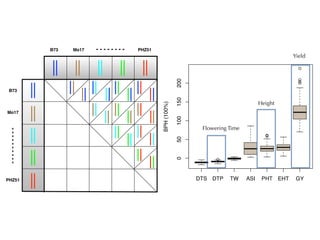 B73 Mo17 PHZ51
B73
Mo17
PHZ51
Flowering Time
Height
Yield
 