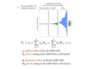 Heterosis increasing
Height YieldFlowering Time
aj, additive effect of the jth GERP-SNP;
Xij, 0-1-2 coding of jth GERP-SNP on ith hybrid;
dj, dominance effect of the jth GERP-SNP;
Wij, 0-1-0 coding of jth GERP-SNP on ith hybrid.
 