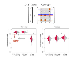 GenotypeGERP Scores
*
* * *
YieldFlowering Height
GERP
YieldFlowering Height
random
 