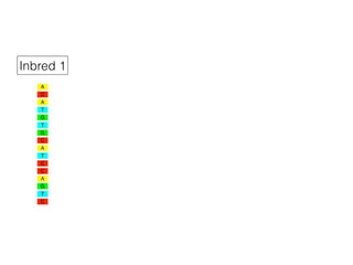 A
C
T
G
T
G
A
C
T
C
C
A
T
C
G
A
Inbred 1
 