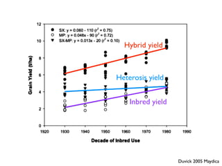 Heterosis yield
Duvick 2005 Maydica
Hybrid yield
Inbred yield
 