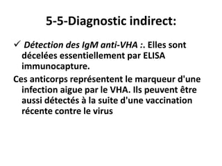1-2-Structure du virus:
• Le virus de l'hépatite E est un virus non enveloppé
d'environ 30-34 nm de diamètre qui possède u...