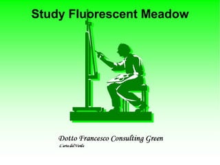 Study Fluorescent Meadow 
 