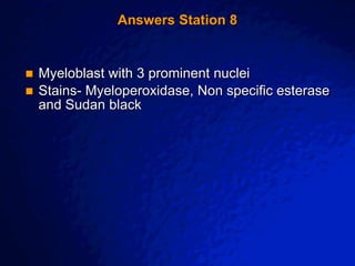 © 2003 By Default!
A Free sample background from www.awesomebackgrounds.com
Slide 17
Answers Station 8
 Myeloblast with 3 prominent nuclei
 Stains- Myeloperoxidase, Non specific esterase
and Sudan black
 