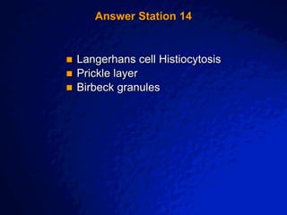 © 2003 By Default!
A Free sample background from www.awesomebackgrounds.com
Slide 31
Answer Station 14
 Langerhans cell Histiocytosis
 Prickle layer
 Birbeck granules
 