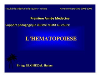 Faculté de Médecine de Sousse – Tunisie   Année Universitaire 2008-2009


                       Première Année Médecine
Support pédagogique illustré relatif au cours:



                  L’HEMATOPOIESE



          Pr. Ag. ELGHEZAL Hatem
 