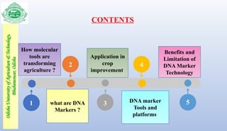 Molecular marker assisted selection - Smart breeding | PPTX