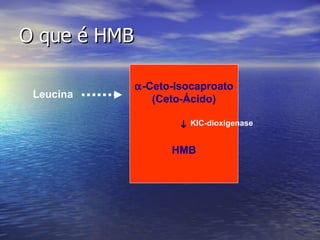 O que é HMB Leucina  -Ceto-Isocaproato (Ceto-Ácido)  HMB KIC-dioxigenase 