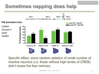 HMB300 - Neuroscience

Sometimes napping does help
Talk promotors here
CaMKII
Synapsin I
GFAP
GAD65

Specific effect, since random ablation of small number of
inactive neurons (i.e. those without high levels of CREB)
didn’t erase the fear memory
HMB300H1 - Dr. JU - Bye Class!

14

 