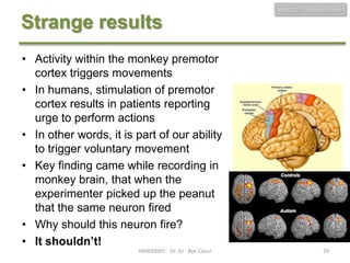 HMB300 - Neuroscience

Strange results
• Activity within the monkey premotor
cortex triggers movements
• In humans, stimulation of premotor
cortex results in patients reporting
urge to perform actions
• In other words, it is part of our ability
to trigger voluntary movement
• Key finding came while recording in
monkey brain, that when the
experimenter picked up the peanut
that the same neuron fired
• Why should this neuron fire?
• It shouldn’t!
HMB300H1 - Dr. JU - Bye Class!

29

 