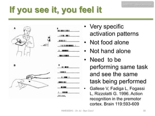 HMB300 - Neuroscience

If you see it, you feel it
• Very specific
activation patterns
• Not food alone
• Not hand alone
• Need to be
performing same task
and see the same
task being performed
• Gallese V, Fadiga L, Fogassi
L, Rizzolatti G. 1996. Action
recognition in the premotor
cortex. Brain 119:593-609
HMB300H1 - Dr. JU - Bye Class!

30

 