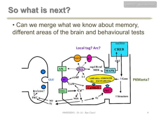 HMB300 - Neuroscience

So what is next?
• Can we merge what we know about memory,
different areas of the brain and behavioural tests
Local tag? Arc?

PKMzeta?

HMB300H1 - Dr. JU - Bye Class!

4

 