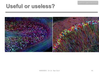 HMB300 - Neuroscience

Useful or useless?

HMB300H1 - Dr. JU - Bye Class!

45

 