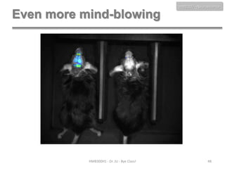 HMB300 - Neuroscience

Even more mind-blowing

HMB300H1 - Dr. JU - Bye Class!

48

 