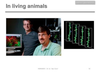HMB300 - Neuroscience

In living animals

HMB300H1 - Dr. JU - Bye Class!

50

 