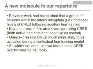 HMB300 - Neuroscience

A new molecule in our repertoire
• Previous work had established that a group of
neurons within the lateral amygdala (LA) increased
levels of CREB following auditory fear training
• Have neurons in this area overexpressing CREB
(both active and dominant negative as control)
• Ones expressing CREB much more likely to be
activated during a contextual fear training model
• So within this area, can we lesion these CREB
overexpressing neurons?

HMB300H1 - Dr. JU - Bye Class!

8

 