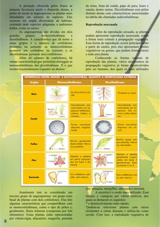A proteção oferecida pelos frutos ás        do reino, fruta do conde, papo de peru, louro e
    semente favoreceu muito a dispersão destas, a       canela, dentre outras. Dicotiledôneas com pólen
    ponto de tornar as angiospermas as plantas mais     distinto destas com características mencionadas
    abundantes em número de espécies. Elas              na tabela são chamadas eudicotiledôneas.
    ocorrem em ampla diversidade de habitats,
    existindo dede espécies adaptadas a ambientes       Reprodução assexuada
    áridos, como os cactos.
            As angiospermas são dividas em dois                 Além da reprodução sexuada, as plantas
    grandes      grupos:     monocotiledôneas       e   podem apresentar reprodução assexuada, sendo
    dicotiledôneas. A característica que dá nome a      a forma mais comum a propagação vegetativa.
    esses grupos é o numero de cotilédones              Essa forma de reprodução ocorre principalmente
    presentes na semente: as monocotilédones            a partir de caules, pois eles apresentam botões
    possuem um cotilédone na semente e as               vegetativos ou gemas, que podem formar raizes
    dicotiledôneas possuem dois cotilédones.            e toda uma planta.
            Além do número de cotilédones, há                   Conhecendo as formas naturais de
    outras características que permitem distinguir as   reprodução das plantas, vários mecanismos de
    monocotiledôneas das dicotiledôneas. É o que        propagação vegetativa já foram desenvolvidos
    mostra resumidamente o quadro na abaixo:            pelo ser humano, dos quais os mais utilizados




                                                        são: estaquia, mergulhia, alporquia e enxertia.
            Atualmente tem se considerado um                    A enxertia é o modo mais utilizado. Essa
    terceiro grupo de angiospermas: um grupo mais       técnica é vantajosa por vários motivos, dos
    basal de plantas com dois cotilédones. Elas têm     quais se destacam os seguintes:
    algumas características que compartilham com        * o desenvolvimento mais rápido;
    as monocotiledôneas, como o tipo de pólen e,        *podem-se selecionar plantas com raizes
    geralmente, flores trímeras (compostas por três     resistentes a certas doenças e utiliza-las como
    elementos). Essas plantas estão representadas       cavalo. Com isso, a reprodução vegetativa de
    por vitória-régia, abacateiro, magnólia, pimenta
8
 