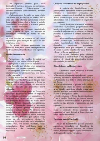 Na superfície exterma pode haver               Os tecidos secundários das angiospermas
  deposição de cutina ou cera, que são substancias
  impermeabilizantes.       Diferenciam-se      na           A maioria das dicotiledôneas, e as
  epiderme estruturas como estômatos, tricomas,       gimnospermas apresentam além do crescimento
  pelo e acúleos.                                     primário, o crescimento secundário, em
       Cada estômato é formado por duas células       espessura e decorrente da atividade de câmbios.
  clorofiladas que se dispõem de modo a deixar        Nessas plantas surgem outros tecidos que estão
  entre elas uma abertura denominada ostíolo.         relacionados com o crescimento do organismo
  Essas células podem abrir e fechar o ostíolo,       em espessura.
  controlando a transpiração e as trocas gasosas              O que da origem ao xilema e ao floema
  entre a planta e o ambiente.                        secundários é o procambio que permanece como
       Os ticomas são estruturas especializadas       tecido meristemático (formado por uma única
  contra a perda de água por excesso de               camada de células) entre o xilema e o floema
  transpiração, ocorrendo em plantas de clima         passando a constituir o cambio fascicular ou
  quente.                                             vascular.
  os pelos ocorrem na epiderme da raiz sendo                 Algumas células parenquimáticas adultas
  responsáveis pela absorção de água e de sais        sofrem diferenciação, transformando-se em
  minerais do solo.                                   células meristemáticas. Estas formaram os
       Os acules estruturas pontiagudas com           chamados         meristemas         secundários,
  função de proteção da planta contra predadores      representados assim por: felogênio ou cambio
  são frequentemente confundidos com espinhos.        de casca e cambio interfascular (este forma o
                                                      xilema e o floema secundários).
  Tecidos fundamentais                                       Os tecidos formados pelos câmbios
                                                      fascivascular e intervascular e pelo felogênio
   - Parênquimas- são tecidos formados por            (cambio de casca) são considerados tecidos
  células vivas com parede celular delgada.           diferenciados secundários.
   - Colênquima- é um tecido de sustentação da
  planta formado por células vivas geralmente         Disposição dos tecidos nas raízes
  alongadas e com paredes espessadas.
   - Esclerênquima- é um tecido de sustentação da             Observando cortes travessais a de uma
  planta formado por células mortas e com parede      raiz podemos ver que:
  celular espessada.                                   - Nas monocotiledôneas o padrão mais comum
  - Tecidos Vasculares: O xilema ou lenho é o         apresenta no centro o parênquima medular ou o
  tecido responsável pelo transporte de água e sais   esclerênquima e ao redor o xilema alterando-se
  minerais (seiva bruta). Enquanto o floema ou        om floema.
  líber é um tecido condutor de substancias            - Nas dicotiledôneas o padrão mais comum
  orgânicas derivadas da fotossíntese (seiva          corresponde ao xilema no centro e estendendo-
  elaborada).                                         se em direção a porção do cilindro central mais
          Tanto no xilema quanto no floema tem        próxima ao córtex os feixes do floema alternam-
  vários tipos de células que podem ser originarias   se com as projeções do xilema.
  de meristemas primários ou secundários. As           - Entre o xilema e o floema das dicotiledôneas
  estruturas mais características e responsáveis      existe o cambio fascicular, geralmente ausente
  pelo transporte de seiva bruta no xilema são os     nas raízes de monocotiledôneas. A presença do
  elementos de vaso e traqueides. São células que     cambio na raiz propicia o crescimento de sua
  durante a maturação passam a apresentar             espessura.
  reforços de lignina e perdem seu protoplasma,               Ao redor dessa estrutura vascular central
  tornando-se células mortas. As estruturas mais      existe o periciclo, tecido originado por
  características do floema e responsáveis pelo       procambio e a partir do qual se desenvolvem as
  transporte de seiva elaborada são os elementos      raízes laterais secundarias.
  tubos crivados formados por células vivas,
  apesar de não apresentarem núcleo. Os               Estrutura secundária da raiz
  elementos de tubos crivados estão associados a
  células vivas, com núcleo, chamadas células             Raízes de dicotiledôneas podem apresentar
  companheiras. Elas contribuem para a                crescimento secundário em decorrência da
  sobrevivência      dos     elementos    crivados    atividade do cambio vascular no cilindro
  anucleados.                                         central, formando xilema e floema secundários e
                                                      do felogênio formando a epiderme.

10
 
