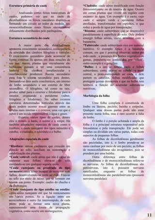 Estrutura primária do caule                         *Cladódio: caule aéreo modificado com função
                                                    fotossintetizante ou de reserva de água. Ocorre
        Analisando cortes feitos transversais de    em certas plantas que vivem em regiões com
caules, podemos ver que no caule de                 escassez de água. Um exemplo é o cacto, cujo
dicotiledôneas os feixes vasculares dispõem-se      caule é sempre verde e apresenta folhas
formando um circulo ao redor da medula, nas         atrofiadas, transformadas em espinhos, o que
monocotiledôneas esses feixes encontram-se          reduz a perda de água por transpiração;
difusamente distribuídos pelo parênquima.           *Rizoma: caule subterrâneo que se desenvolve
                                                    paralelamente á superfície do solo. Dele podem
Estrutura secundária do caule                       emergir folhas aéreas, como acontece com a
                                                    bananeira;
        A maior parte das dicotiledôneas            *Tubérculo: caule subterrâneo rico em material
apresenta crescimento secundário, consequência      nutritivo. O exemplo típico é a batatinha
da atividade dos câmbios felogênio e vascular.      comum, em que é possível observar, como em
O crescimento secundário pode acontecer de          todo caule , a presença dos botões vegetativo ou
forma contínua ou apenas em duas estações de        gemas, popularmente conhecidos por ‘olhos’;
um ano. Assim, plantas que inicialmente são         outro exemplo é o gengibre.
herbáceas passam a ter uma consistência             *Bulbo: é a um só tempo caule e folhas
lenhosa. Os câmbios intrafascicular e               subterrâneo, como ocorre na cebola –a parte
interfascicular produzem floema secundário          central, o prato,corresponde ao caule e dele
para fora e xilema secundário para dentro,          partem os catafilos, folhas modificadas que
formando-se dois anéis concêntricos, um interno     protegem gemas dormentes e que no bulbo tem
de lenho secundário e um externo de líber           também a função de acumular substancias
secundário. O felogênio, tal como na raiz,          nutritivas;
produz súber para o exterior e feloderme para o
interior, originando a periderme (súber,            Morfologia da folha
felogênio e feloderme). No súber existem
estruturas denominadas lentículas através das               Uma folha completa é constituída de
quais podem ocorrer trocas gasosas entre as         limbo ou lâmina, pecíolo, bainha e estípulas.
células mais internas e o exterior, uma vez que o   Qualquer uma dessas partes pode não estar
súber é um tecido impermeável à água e gases.       presente numa folha, mas é raro ocorrer a falta
        Existem vários tipos de caules, dentre      de limbo.
eles o tronco, a haste, o colmo e o estipe. Há              O limbo é a porção achatada e ampla da
também adaptações especiais de caule como o         folha e é a principal estrutura responsável pela
rizóforo, o caule rastejante dos tipos sarmento e   fotossíntese e pela transpiração. Ele pode ser
estolho, o cladódio, o tubérculo e o bulbo.         simples ou dividido em várias partes, todas com
                                                    aspectos de pequenas folhas.
Adaptações especiais do caule                               As folhas de dicotiledôneas geralmente
                                                    são pecioladas, isto é, o limbo prende-se ao
*Rizóforo: ramos caulinares que crescem em          ramo caulinar por meio de um pecíolo; as folhas
direção ao solo; auxiliam na sustentação e          de monocotiledôneas são invaginantes, pois se
estabilização das plantas.                          prendem por uma bainha.
*Caule volúvel: caule aéreo que não é capaz de              Outra diferença entre folhas de
sustentar suas folhas; eleva-se do solo             dicotiledôneas e de monocotiledôneas refere-se
enrolando-se em qualquer suporte ereto.             as nervuras. As folhas de dicotiledôneas são
*Caule rastejante ou prostrado do tipo              peninérveas, isto é, possuem nervuras
sarmento: caule aéreo incapaz de sustentar suas     ramificadas,    enquanto      as    folhas    de
folhas, desenvolvendo-se rente ao chão. Fixa-se     monocotiledôneas são paralelinérveas (possuem
ao solo por meio de raízes que se formam em         nervuras paralelas).
apenas um ponto. Exemplo: caules do chuchu e
da aboboreira;
*Caule rastejante do tipo estolho ou estolão:
caule aéreo rastejante em que há enraizamento
em vários pontos. Se a ligação entre um
enraizamento e outro for interrompido, de cada
ponto pode se formar uma nova planta,
representando uma forma de propagação
vegetativa, como ocorre em morangueiros;
                                                                                                       11
 