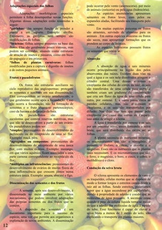 Adaptações especiais das folhas                    pode ocorrer pelo vento (anernocoria), por meio
                                                        de animais (zoócoria) ou pela água (hidrocória).
             Adaptações     morfológicas    especiais          As espécies anemócorias apresentam
     permitem á folha desempenhar novas funções.        sementes ou frutos leves, com pelos ou
     Algumas dessas adaptações estão resumidas a        expansões aladas, facilitando seu transporte pelo
     seguir:                                            vento.
     *gavinhas: têm sempre função de prender a                 Em muitas espécies zoócoras os frutos
     planta a um suporte. Exemplo: ervilha.             são atraentes, servindo de alimento para os
     Entretanto, as gavinhas nem sempre são             animais . Em outras espécies zoócoras ou frutos
     modificações de folhas.                            são secos, mas apresentam formações que os
     *brácteas: folhas sempre presentes na base das     prendem ao corpo de animais.
     flores. Elas são geralmente pouco vistosas, mas           As espécies hidrócoras possuem frutos
     podem ser coloridas, atuando como estruturas       ou sementes que retém ar.
     de atração de insetos e pássaros, como em bico-
     de-papagaio e em primavera.                        Absorção
     *folhas de plantas carnívoras: folhas
     modificadas para a captura e digestão de insetos           A absorção de água e sais minerais
     e de outros pequenos animais.                      ocorre principalmente na região dos pelos
                                                        absorventes das raízes. Existem duas vias na
     Frutos e pseudofrutos                              qual a água e os sais nela dissolvidos atingem o
                                                        cilindro central. Uma dessas atravessa o
             Os frutos são estruturas auxiliares no     citoplasma das células do córtex da raiz; os sais
     ciclo reprodutivo das angiospermas: protegem       são transferidos de uma célula para outra, e
     as sementes e auxiliam em sua disseminação.        também criam um gradiente de concentração
     Eles correspondem ao ovário amadurecido, o         que cria um fluxo da água de uma célula para
     que geralmente ocorre após a fecundação. Caso      outra, por osmose. E a outra passa entra as
     não ocorra a fecundação, não há formação de        paredes celulares, mas não atravessam o
     sementes e o fruto chama-se partenocárpico,        citoplasma, e os sais são transportados por
     caso da banana e da laranja-da-baía.               difusão. Nas duas vias tem que passar pelo
             Os     pseudofrutos    são   estruturas    citoplasma por causa das estrias de Caspary,
     suculentas que contém reservas nutritivas, mas     isso antes de atingir o xilema.
     que não se desenvolvem a partir de um ovário.            A água é transferida por osmose e os sais
     Os pseudofrutos podem ser:                         por um processo ativo, assim formando a seiva
     *simples: provenientes do desenvolvimento do       bruta, que será distribuída das raízes até as
     pedúnculo ou do receptáculo de uma só flor.        folhas.
     Exemplo: maçã, pêra.                                     A planta necessita de nutrientes minerais,
     *agregados ou compostos: provenientes do           os macronurientes que são: o nitrogênio, o
     desenvolvimento do receptáculo de uma única        potássio, o fósforo, o cálcio, o enxofre e o
     flor, com muitos ovários. Exemplo: morango,        magnésio. Esses são os nutrientes que as plantas
     em que vários aquênios ficam associados a uma      mais necessitam. E os micronutrientes que são:
     parte carnosa correspondente ao receptáculo da     o ferro, o magnésio, o boro, o zinco, o cobre, o
     flor;                                              molibdênio e o cloro.
     *múltiplos ou infrutescências: provenientes do
     desenvolvimento de ovários de muitas flores de     Condução da seiva bruta
     uma inflorescência que crescem juntos numa
     estrutura única. Exemplo: amora, abacaxi e figo.         O xilema apresenta os elementos de vaso e
                                                        os traqueídes, células mortas que se dispõem de
     Disseminação das sementes e dos frutos             modo a formar longos e estreitos canais desde a
                                                        raiz até as folhas. Sendo estreitos, poderíamos
            A semente, após seu desenvolvimento, é      supor que a água ascendesse por capilaridade,
     disseminada no meio ambiente por vários            devido à propriedade de adesão e coesão que as
     mecanismos, que podem envolver adaptações          moléculas de água possuem. A ascensão cessa
     das próprias sementes ou dos frutos que as         quando o peso da coluna líquida torna-se maior
     contêm.                                            do que a adesão das moléculas de água à parede
            A dispersão das sementes é um               do tubo. Esse fenômeno é capaz de elevar a
     mecanismo importante para o sucesso da             seiva bruta a menos de 1 metro do solo, não
     espécie, uma vez que permite aos organismos a      explicando o transporte em plantas maiores.
     exploração de novos ambientes. A disseminação
12
 