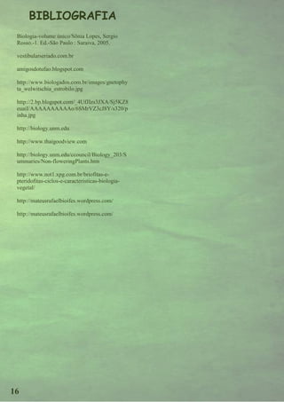 BIBLIOGRAFIA
 Biologia-volume único/Sônia Lopes, Sergio
 Rosso.-1. Ed.-São Paulo : Saraiva, 2005.

 vestibularseriado.com.br

 amigosdotufao.blogspot.com

 http://www.biologados.com.br/images/gnetophy
 ta_welwitschia_estrobilo.jpg

 http://2.bp.blogspot.com/_4UfJIzs3JXA/Sj5KZ8
 euaiI/AAAAAAAAAAo/6SMrVZ3cJ8Y/s320/p
 inha.jpg

 http://biology.unm.edu

 http://www.thaigoodview.com

 http://biology.unm.edu/ccouncil/Biology_203/S
 ummaries/Non-floweringPlants.htm

 http://www.not1.xpg.com.br/briofitas-e-
 pteridofitas-ciclos-e-caracteristicas-biologia-
 vegetal/

 http://mateusrafaelbioifes.wordpress.com/

 http://mateusrafaelbioifes.wordpress.com/




16
 