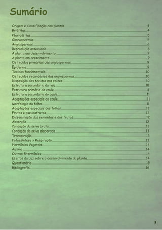 Sumário
Origem e Classificação das plantas......................................................................................................4
Briófitas......................................................................................................................................................4
Pteridófitas................................................................................................................................................5
Gimnospermas. ..........................................................................................................................................5
Angiospermas.............................................................................................................................................6
Reprodução assexuada.............................................................................................................................8
A planta em desenvolvimento.................................................................................................................9
A planta em crescimento.........................................................................................................................9
Os tecidos primários das angiospermas..............................................................................................9
Epiderme.....................................................................................................................................................9
Tecidos fundamentais............................................................................................................................10
Os tecidos secundários das angiospermas........................................................................................10
Disposição dos tecidos nas raízes.......................................................................................................10
Estrutura secundária da raiz...............................................................................................................10
Estrutura primária do caule..................................................................................................................11
Estrutura secundária do caule..............................................................................................................11
Adaptações especiais do caule..............................................................................................................11
Morfologia da folha.................................................................................................................................11
Adaptações especiais das folhas.........................................................................................................12
Frutos e pseudofrutos...........................................................................................................................12
Disseminação das sementes e dos frutos..........................................................................................12
Absorção...................................................................................................................................................12
Condução da seiva bruta........................................................................................................................12
Condução da seiva elaborada................................................................................................................13
Transpiração.............................................................................................................................................13
Fotossíntese x Respiração....................................................................................................................13
Hormônios Vegetais................................................................................................................................14
Auxina .......................................................................................................................................................14
Outros fitormônios ................................................................................................................................14
Efeitos da Luz sobre o desenvolvimento da planta.........................................................................14
Questionário.............................................................................................................................................15
Bibliografia...............................................................................................................................................16




                                                                                                                                                                   3
 