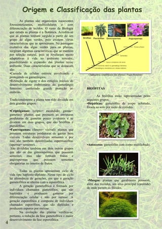 Origem e Classificação das plantas
            As plantas são organismos eucariontes
    fotossintetizantes, multicelulares e com
    diferenciação de tecidos. O ramo da Biologia
    que estuda as plantas é a Botânica. Acredita-se
    que as plantas tenham surgido a partir de um
    grupo de algas verdes, pois existem várias
    características que as aproximam. Na passagem
    evolutiva das algas verdes para as plantas,
    surgiram algumas características que se mantém
    por seleção natural, pois se revelaram muito
    adaptativas à vida no ambiente terrestre,
    possibilitando a expansão das plantas nesse
    ambiente. Duas características que se destacam
    são:
    •Camada de células estéreis envolvendo e            Cladograma simplificado das plantas - Paula Honorato
    protegendo os gametângios.
    •Retenção de zigoto e dos estágios iniciais de
    desenvolvimento embrionário do gametângio
    feminino, conferindo grande proteção ao            BRIÓFITAS
    embrião.
                                                              As briófitas estão representadas pelos
    Tradicionalmente a planta tem sido dividida em     seguintes grupos:
    dois grandes grupos:                               •Hepáticas: gametófito de corpo achatado,
                                                       fixada ao solo por meio de rizóides.
    •Criptógamas: (cripto= escondido; gamae=
    gametas): plantas que possuem as estruturas
    produtoras de gametas pouco evidentes e se
    dividem em dois grupos, que são briófitas e
    pteridófitas.
    •Fanerógamas: (fanero= visível): plantas que
    possuem estruturas produtoras de gaetas bem
    visíveis. Todas desenvolvem sementes e por
    isso são também denominadas espermatófitas
    (sperma= semente).                                 •Antoceros: gametófito com corpo multilobado;
     São divididas também em dois outros grupos
    que são os das gimnospermas que possuem
    sementes, mas não formam frutos e
    angiospermas       que     possuem  sementes
    obrigatórias no interior de frutos.

            Todas as plantas apresentam ciclo de
    vida tipo haplonte-diplonte. Nesse tipo de ciclo
    há alternância de gerações, em que a geração
                                                        •Musgos: plantas que geralmente possuem,
    gametofítica se alterna com a esporofítica.
                                                       além dos rizóides, um eixo principal (caulóide)
            A geração gametofítica é formada por
                                                       de onde partem os filóides.
    indivíduos chamados gametófitos, que são
    haplóides     e     produzem     gametas     por
    diferenciação celular e não por meiose. A
    geração esporofítica é composta de indivíduos
    chamados esporófitos, que são diplóides e
    produzem esporos por meiose.
            Na evolução das plantas verifica-se,
    portanto, a redução da fase gametofítica e maior
    desenvolvimento da fase esporofítica.
4
 