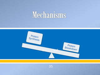         


    35
 