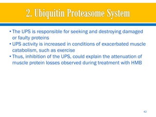 • The UPS is responsible for seeking and destroying damaged
  or faulty proteins
• UPS activity is increased in conditions of exacerbated muscle
  catabolism, such as exercise
• Thus, inhibition of the UPS, could explain the attenuation of
  muscle protein losses observed during treatment with HMB




                                                              42
 