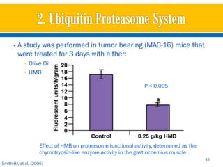 •   A study was performed in tumor bearing (MAC-16) mice that
          were treated for 3 days with either:
            • Olive Oil
            • HMB

                                                                P < 0.005




                    Effect of HMB on proteasome functional activity, determined as the
                    chymotrypsin-like enzyme activity in the gastrocnemius muscle.
                                                                                         43
Smith HJ, et al. (2005)
 