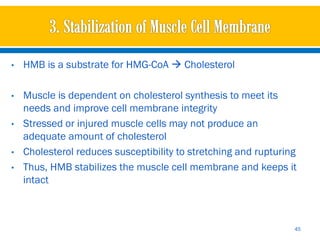 •   HMB is a substrate for HMG-CoA  Cholesterol

•   Muscle is dependent on cholesterol synthesis to meet its
    needs and improve cell membrane integrity
•   Stressed or injured muscle cells may not produce an
    adequate amount of cholesterol
•   Cholesterol reduces susceptibility to stretching and rupturing
•   Thus, HMB stabilizes the muscle cell membrane and keeps it
    intact



                                                                 45
 