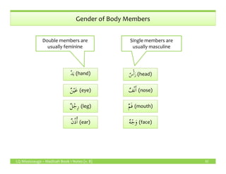 Gender of Body Members
ٌ‫س‬ْٔ‫ا‬َ‫ر‬ٌ‫س‬ْٔ‫ا‬َ‫ر‬ (head)
ٌ‫ف‬ْ‫ن‬َٔ‫ا‬ (nose)
ٌ‫د‬َ‫ي‬ (hand)
ٌ‫ن‬ْ‫ي‬َ‫ع‬ (eye)
Double members are
usually feminine
Single members are
usually masculine
LQ Mississauga – Madinah Book 1 Notes (v. 8) 32
ٌ‫ف‬ْ‫ن‬َٔ‫ا‬ٌ‫ف‬ْ‫ن‬َٔ‫ا‬ (nose)
ٌ‫ه‬ْ‫ج‬َ‫و‬ٌ‫ه‬ْ‫ج‬َ‫و‬ (face)
ٌ‫م‬َ‫ف‬ٌ‫م‬َ‫ف‬ (mouth)
ٌ‫ن‬ْ‫ي‬َ‫ع‬ٌ‫ن‬ْ‫ي‬َ‫ع‬ (eye)
ٌ‫ن‬ُ‫ذ‬ُٔ‫ا‬ (ear)
ٌ‫ل‬ْ‫ِج‬‫ر‬ (leg)
 