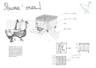 Installées dans le pousse
oies, les oies partent en go-
guette à travers le Potager,
emmenées sur les pelouses
à pâturer par les étudiants.
Les parcelles adapté sont le
Duhamel, le Fruticétum, le
jardin du Breuil.




                                18
 