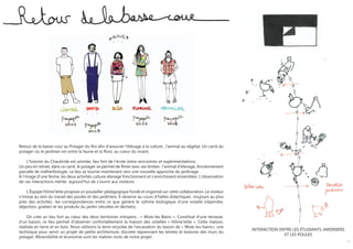 Retour de la basse-cour au Potager du Roi afin d’associer l’élévage à la culture , l’animal au végétal. Un carré du
potager où le jardinier est entre la faune et la flore, au coeur du vivant.

     L’histoire du Chaubride est animée, lieu fort de l’école entre rencontres et expérimentations.
Un peu en retrait, dans ce carré, le potager se permet de flirter avec ses limites : l’animal d’élevage. Anciennement
parcelle de malherbologie, ce lieu se tourne maintenant vers une nouvelle approche du jardinage .
À l’image d’une ferme, les deux activités culture-élevage fonctionnent et s’enrichissent ensembles. L’observation
de ces interactions mérite aujourd’hui de s’ouvrir aux visiteurs.

    L’Équipe Hôme’lette propose un poulailler pédagogique fondé et organisé sur cette collaboration. Le visiteur
s’imisse au sein du travail des poules et des jardiniers. Il observe au cours d’haltes didactiques -toujours au plus
près des activités- les correspondances entre ce que génère le rythme biologique d’une volaille (répendre,
déjection, gratter) et les produits du jardin (récoltes et déchets).

     On crée un lieu fort au cœur des deux territoires mitoyens ; « Woie-les-Bains ». Constitué d’une terrasse,
d’un bassin, ce lieu permet d’observer confortablement la maison des volailles « Hôme’lette ». Cette maison,
réalisée en terre et en bois. Nous utilisons la terre recyclée de l’excavation du bassin de « Woie-les-bains», une
                                                                                                                        INtERACtION ENtRE LEs ÉtUDIANts jARDINIERs
technique pour servir un projet de petite architecture, discrete reprennant les teintes et textures des murs du
                                                                                                                                      Et LEs POULEs
potager. Réversibilité et économie sont les maîtres mots de notre projet.
                                                                                                                                                                     3
 