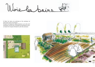 A Woie les bains, les jardiniers et les animaux se
retrouvent autour de bassins.
D’abord les baignoires déjà présentes sur le site sont
réutilisées comme bacs immergés de plantations puis,
un bassin lie l’espace étudiant à celui des animaux.




                                                         7
 