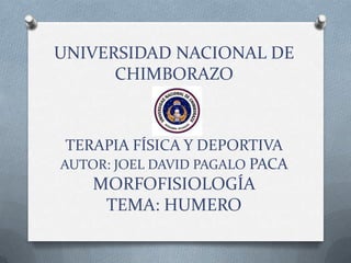 UNIVERSIDAD NACIONAL DE
CHIMBORAZO
TERAPIA FÍSICA Y DEPORTIVA
AUTOR: JOEL DAVID PAGALO PACA
MORFOFISIOLOGÍA
TEMA: HUMERO
 