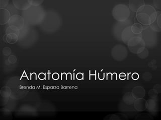 Anatomía Húmero
Brenda M. Esparza Barrena

 