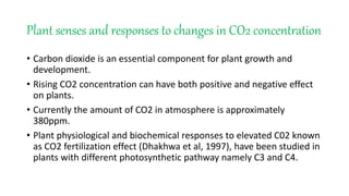 Plant senses and responses to changes in CO2 concentration
• Carbon dioxide is an essential component for plant growth and
development.
• Rising CO2 concentration can have both positive and negative effect
on plants.
• Currently the amount of CO2 in atmosphere is approximately
380ppm.
• Plant physiological and biochemical responses to elevated C02 known
as CO2 fertilization effect (Dhakhwa et al, 1997), have been studied in
plants with different photosynthetic pathway namely C3 and C4.
 