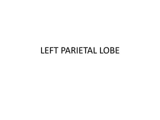 LEFT PARIETAL LOBE
 