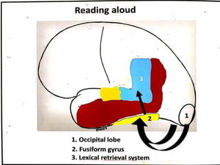 Reading aloud
 