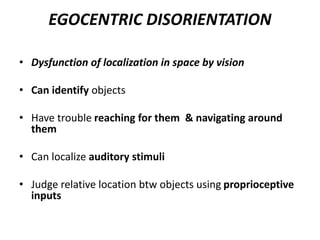 EGOCENTRIC DISORIENTATION
• Dysfunction of localization in space by vision
• Can identify objects
• Have trouble reaching for them & navigating around
them
• Can localize auditory stimuli
• Judge relative location btw objects using proprioceptive
inputs
 